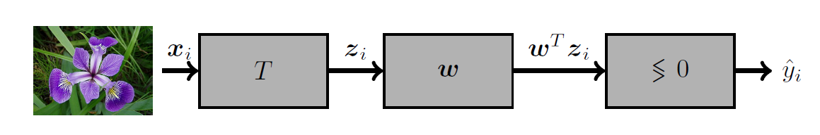 image-20250102144222071