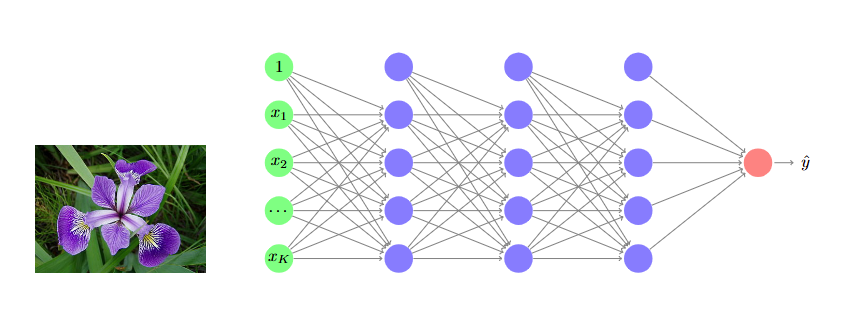 image-20250102164634731