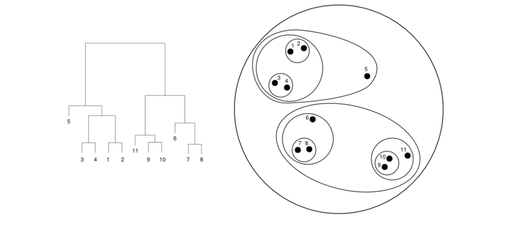 image-20250102173752383
